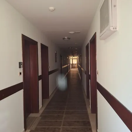 илен C411 Panorama 4*